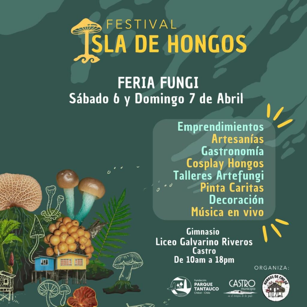 Afiche Festival Isla de Hongos 2