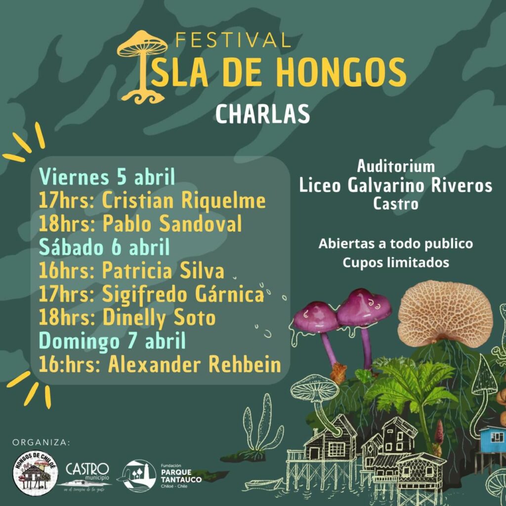 Afiche Festival Isla de Hongos 3