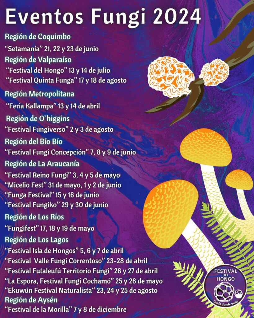 Afiche Festival Isla de Hongos 4