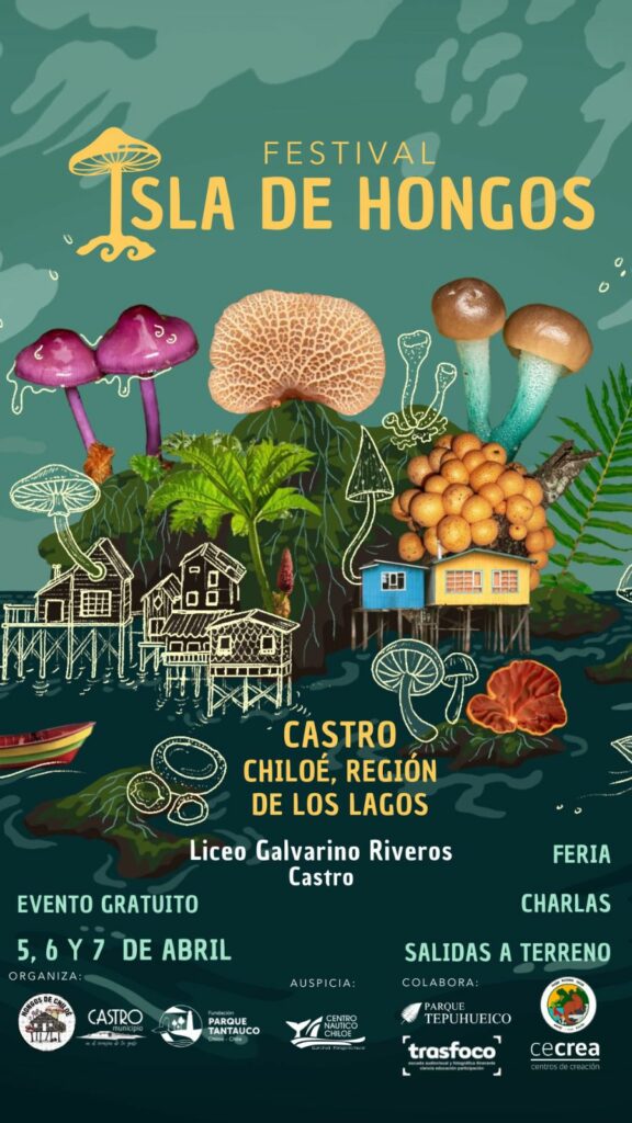 Afiche Festival Isla de Hongos