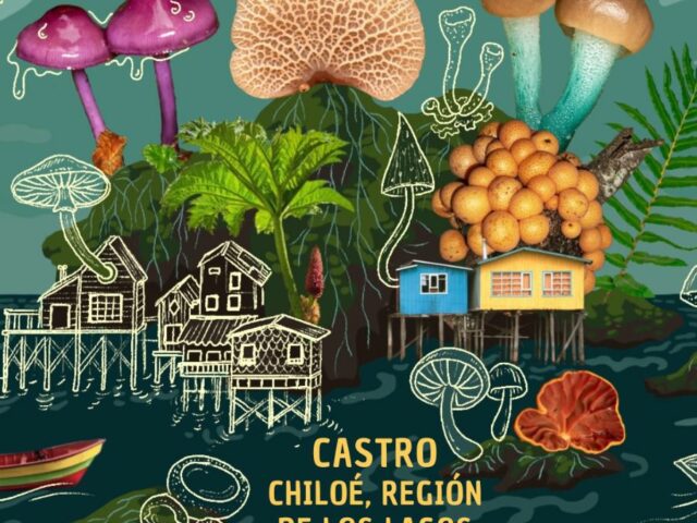 Chiloé: No te pierdas el Festival Isla de Hongos este fin de semana