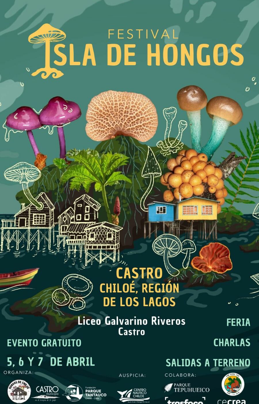 Chiloé: No te pierdas el Festival Isla de Hongos este fin de semana