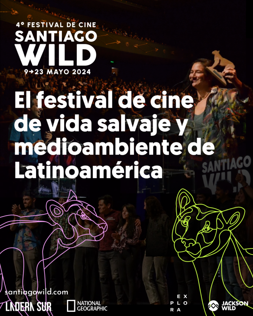 Afiche Santiago Wild 3