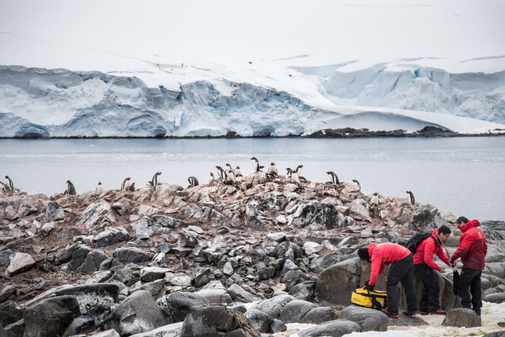 Pingüinos en la Antártica junto con científicos del Instituto Antártico Chileno, Chile.