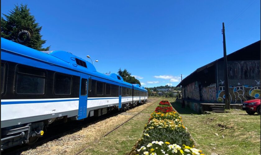 Un nuevo parque para la comunidad y los polinizadores: tras años de abandono, la Estación de Trenes de Puerto Varas se llenará de flores
