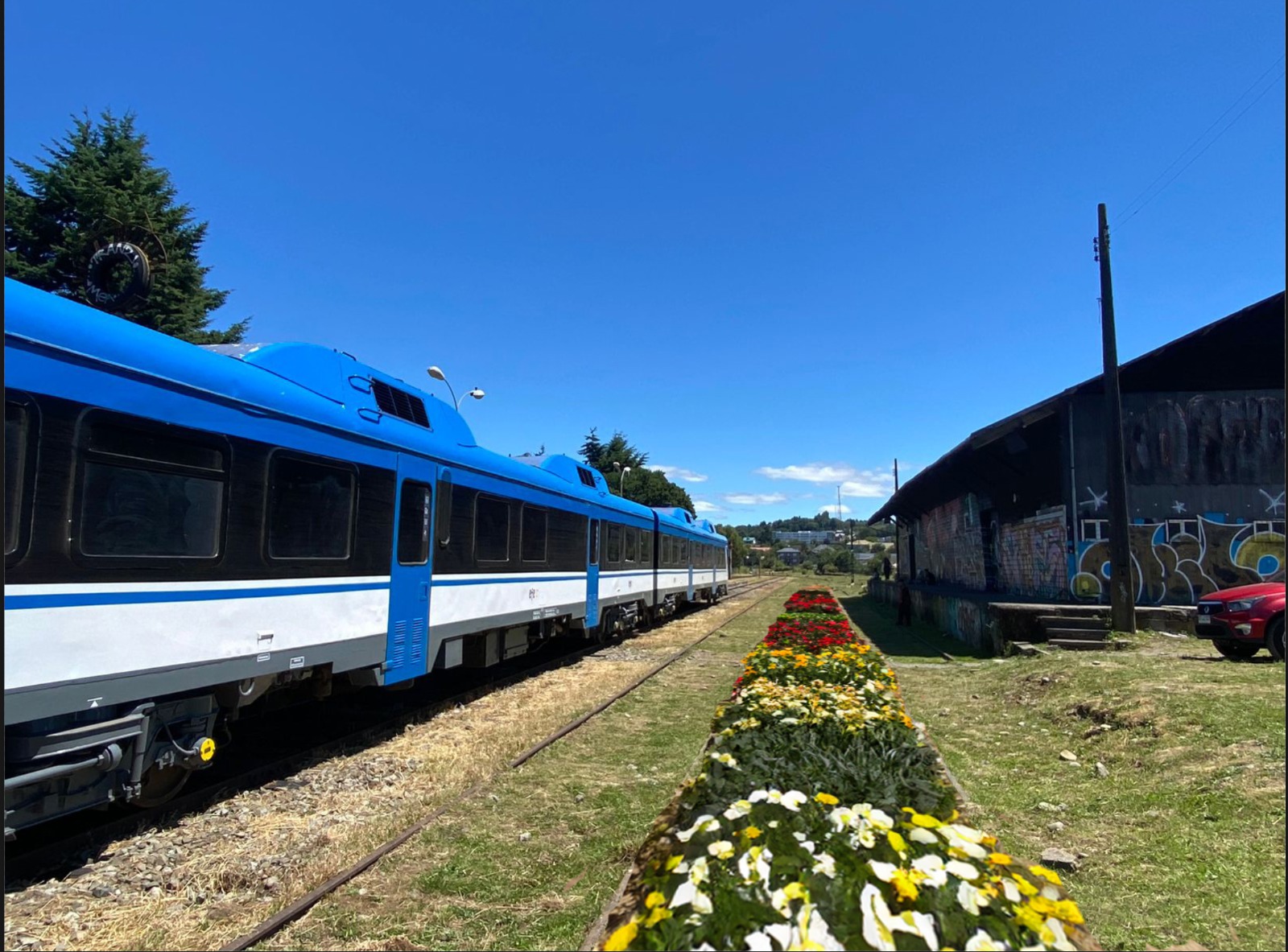 Un nuevo parque para la comunidad y los polinizadores: tras años de abandono, la Estación de Trenes de Puerto Varas se llenará de flores
