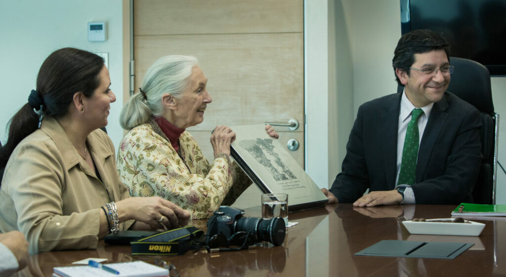 Jane Goodall en su segunda visita a Chile junto al Ministro de Medio ambiente de la época, Pablo Badanier. Crédito The Jane Goodall Institute Chile/Moris Muñoz