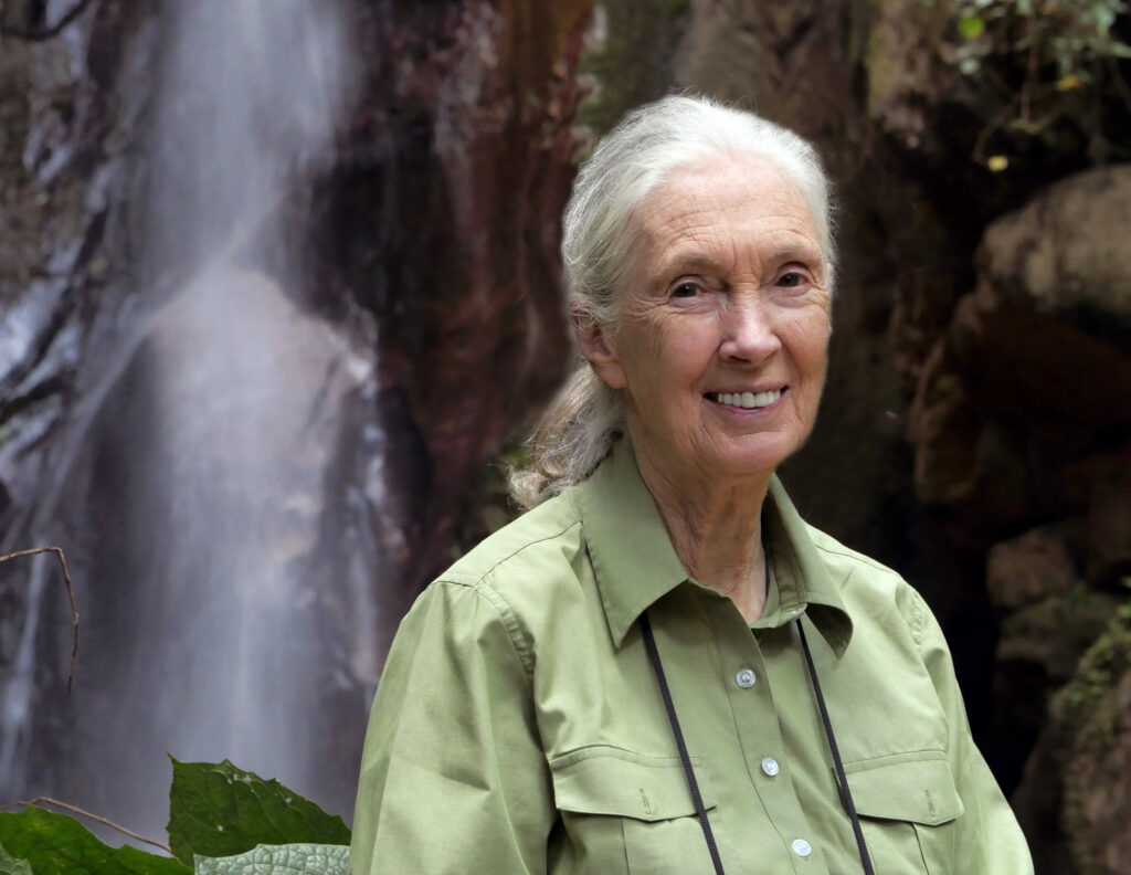 Jane Goodall junto a una cascada en el Parque Nacional Gombe, Tanzania. Crédito The Jane Goodall Institute/Bill Wallauer