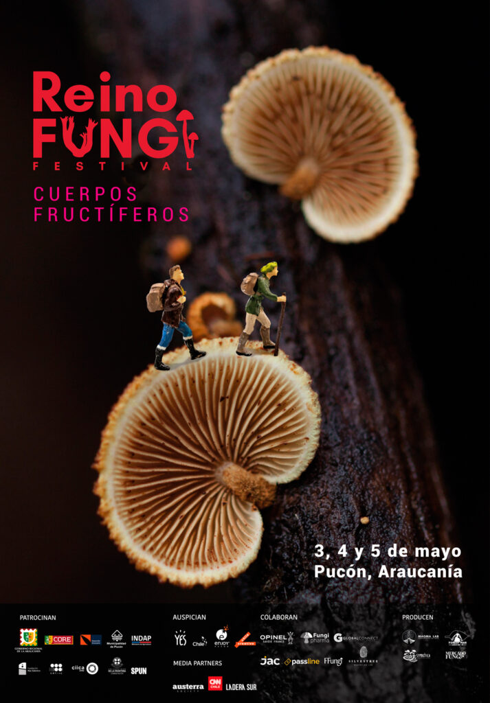 Afiche. Créditos: Festival Reino Fungi.