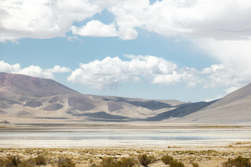 Parque Nacional Salar de Huasco. Créditos Benjamín Valenzuela.