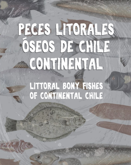 Portada de la guía "Peces litorales óseos de Chile Continental"