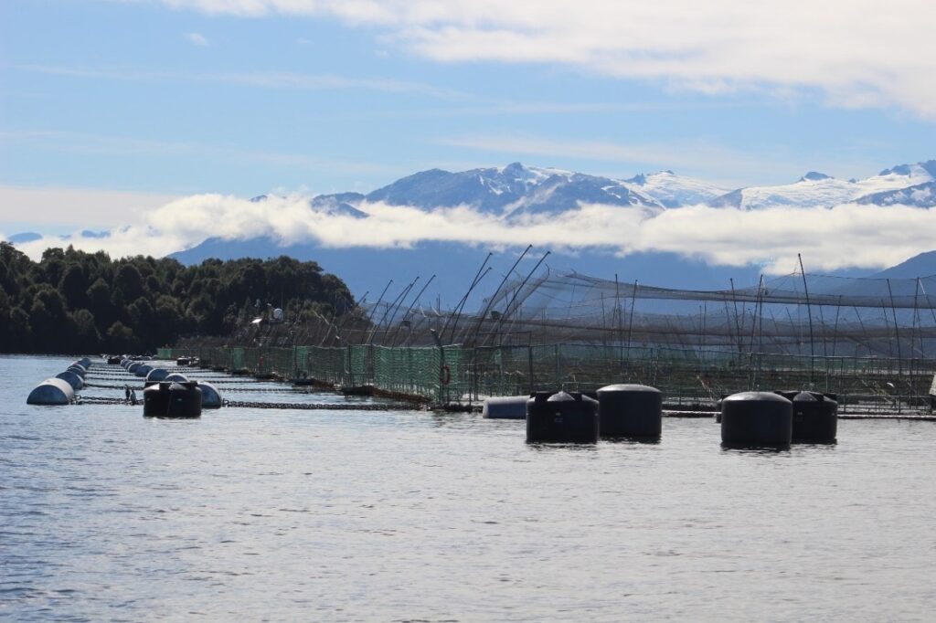 Salmonera. Créditos: Fundación Terram