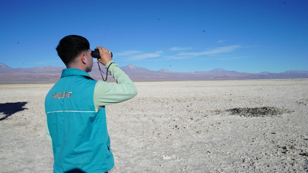 Cortesía del Zoológico Metropolitano y la Fundación Meri