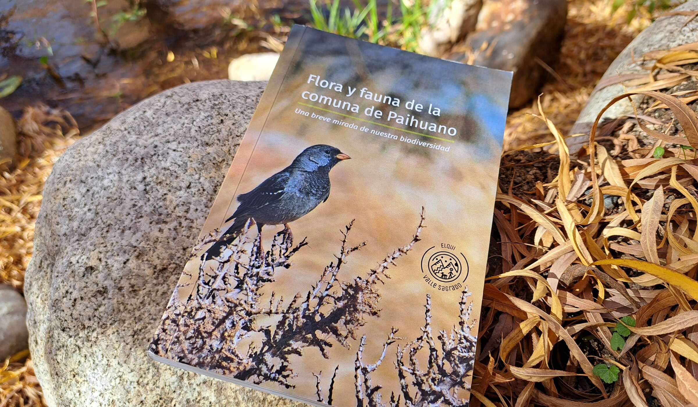 ONG Elqui Valle Sagrado lanza libro inédito sobre flora y fauna de la comuna de Paihuano