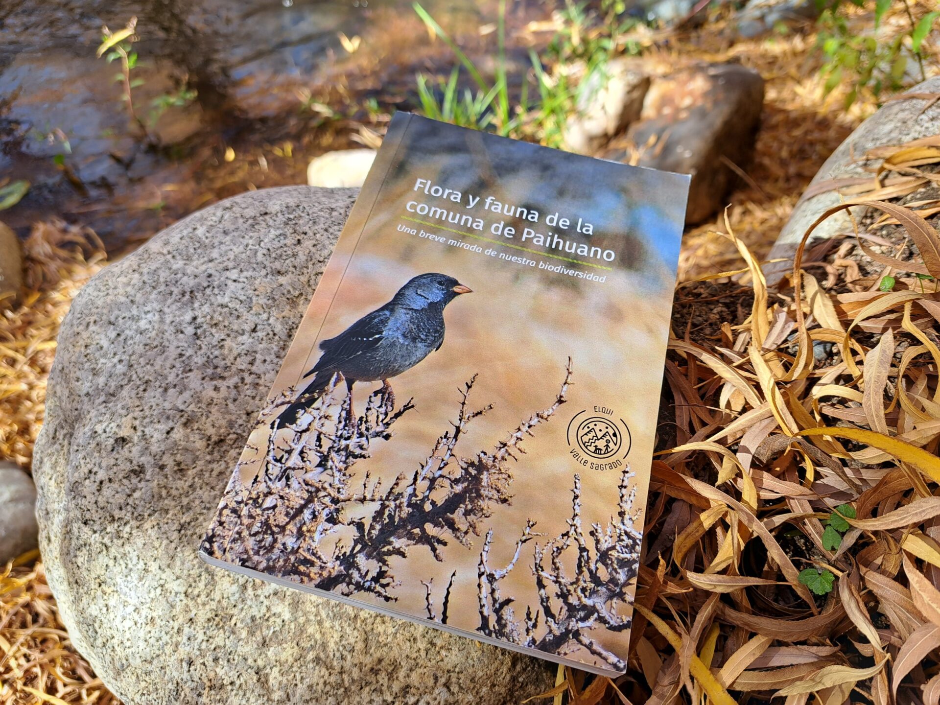 ONG Elqui Valle Sagrado lanza libro inédito sobre flora y fauna de la comuna de Paihuano