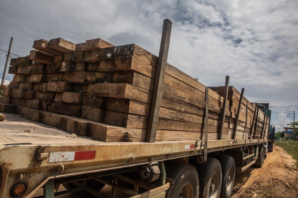 La madera del shihuahuaco se exporta, pero también se comercializa en Perú para fabricar carbón. Foto: Max Cabello Orcasitas