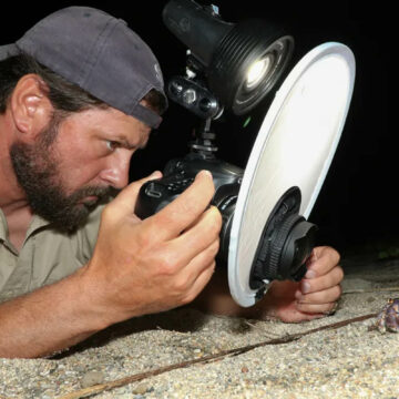 Entrevista exclusiva: Shawn Miller, el fotógrafo que busca salvar a los cangrejos ermitaños, que en vez de conchas naturales, están usando plástico para vivir