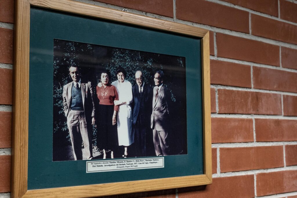 En el Herbario Nacional de la UNAM se exhibe esta fotografía de los pioneros de la botánica en México. Maximino Martínez es el cuarto de izquierda a derecha. Foto: Iván Castaneira.