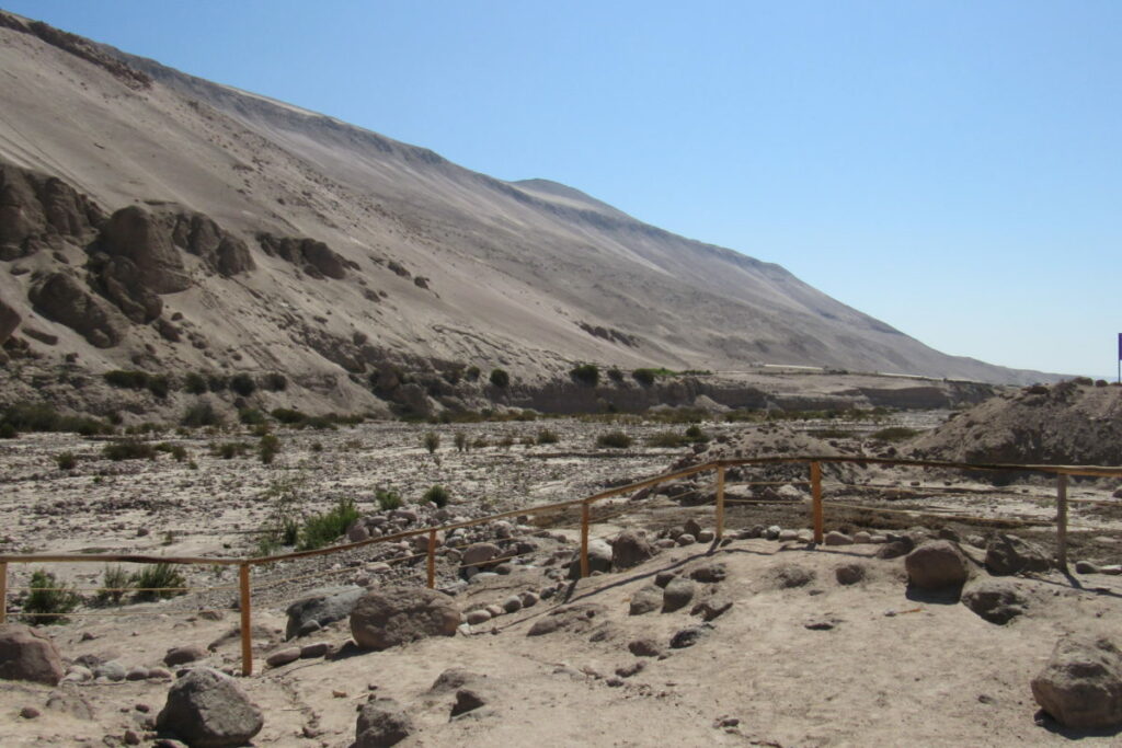 Mirador Microrreserva de Azapa. Crédito Ministerio de Medio Ambiente