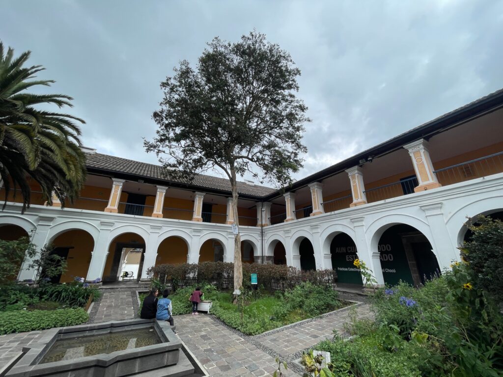 En el Museo de la Ciudad se resguarda un arrayán de Quito que ha sido nombrado "Árbol patrimonial". Foto: Alexis Serrano Carmona.