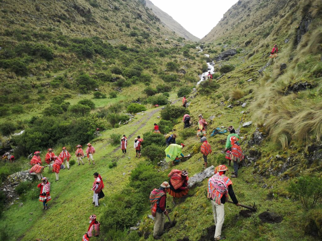 Las comunidades locales reforestando junto a One Tree Planted. Créditos: ONG One Tree Planted