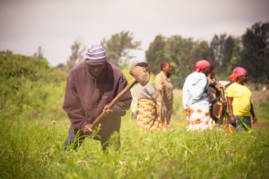 Reforestación en Tanzania. Créditos: David Wilfred, Sky Studios, Arusha / ONG One Tree Planted