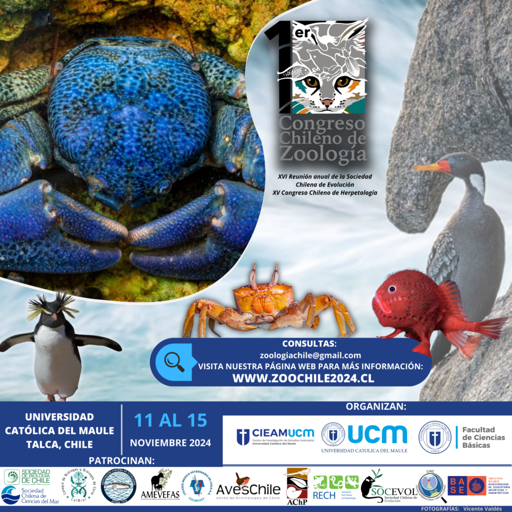 Segundo afiche del Primer Congreso Chileno de Zoología. Créditos: Primer Congreso Chileno de Zoología.