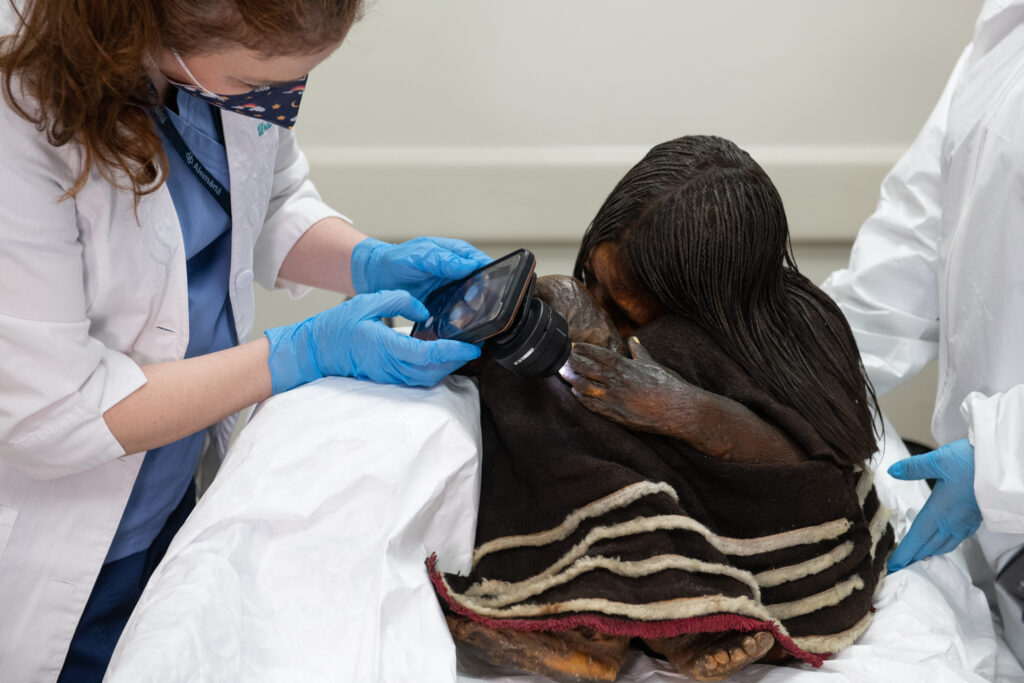 Análisis dermatológico. Créditos: Museo de Nacional de Historia Natural. 