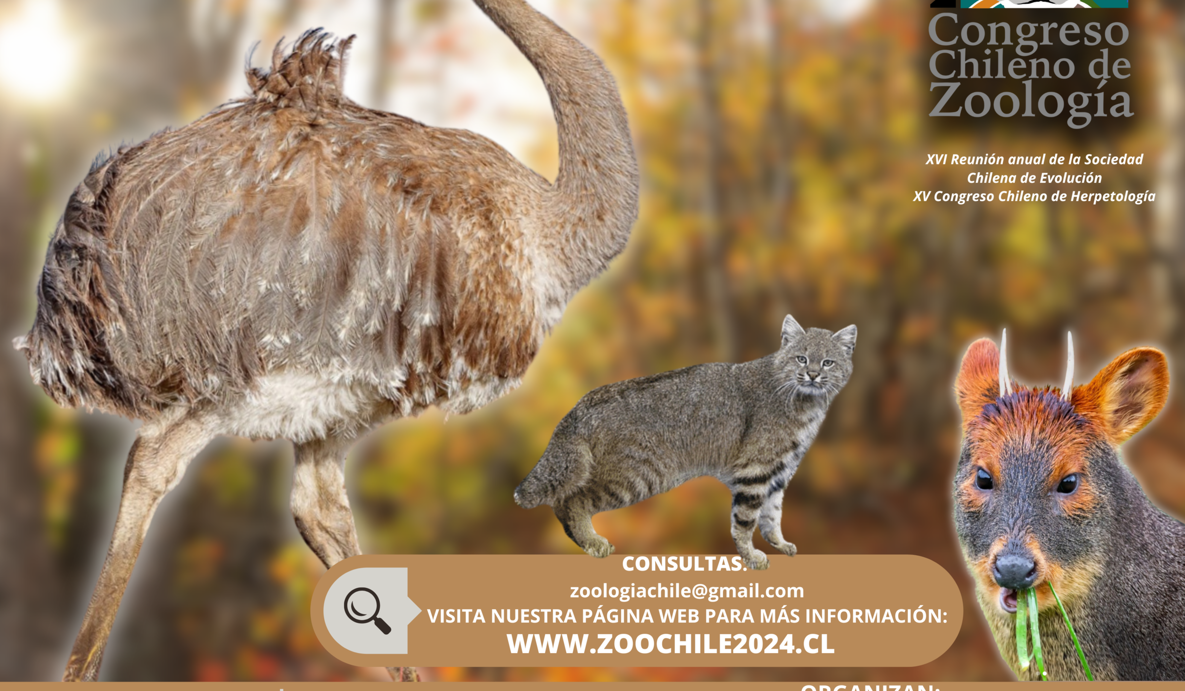 Primer Congreso Chileno de Zoología: Evento sin precedentes se realizará en la UCM