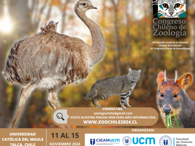 Primer Congreso Chileno de Zoología: Evento sin precedentes se realizará en la UCM