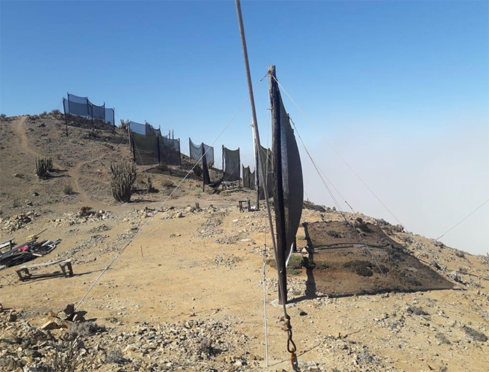 Cerca de doce atrapanieblas, ubicados en la cumbre de Falda Verde, se encuentran actualmente operativos. (Crédito fotográfico: Agrupación de Atrapanieblas de Atacama).