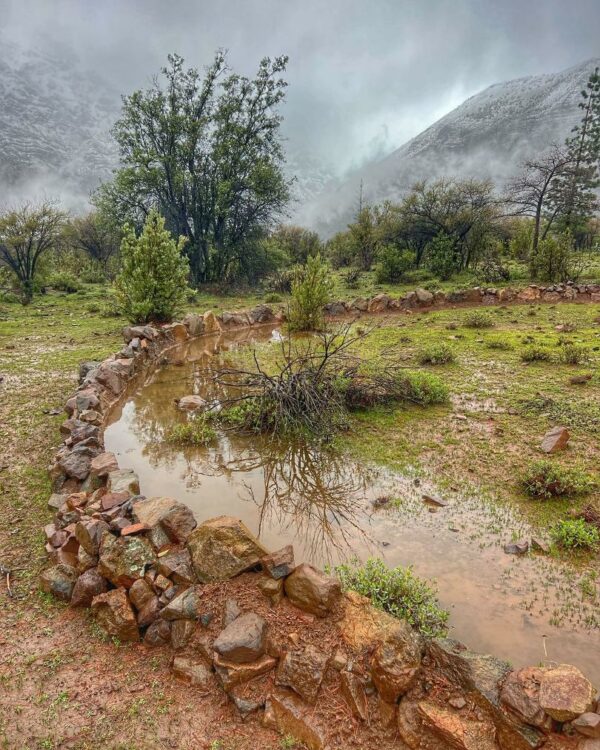 Cosecha de aguas y recuperación de suelos: Una interesante alternativa para la restauración de los ecosistemas