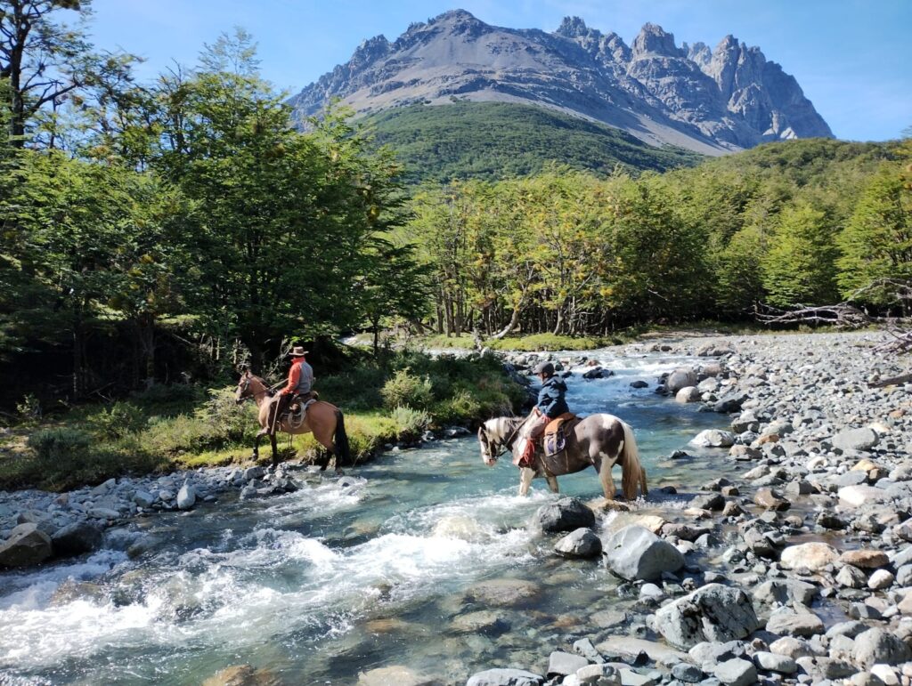 Caballos en los senderos de la Patagonia. Foto: Juan García @juanona