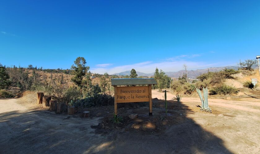 “Conectando Aguas”: la iniciativa que busca regenerar ecosistemas y acercar a la comunidad en el Parque La Reserva de Peñablanca, en Villa Alemana