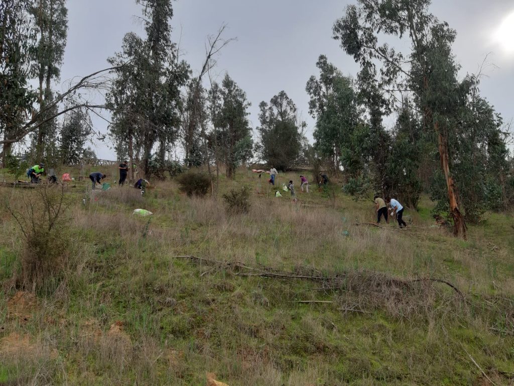 Personas en cerro de Parque La Reserva de Peñablanca. Créditos: REVA