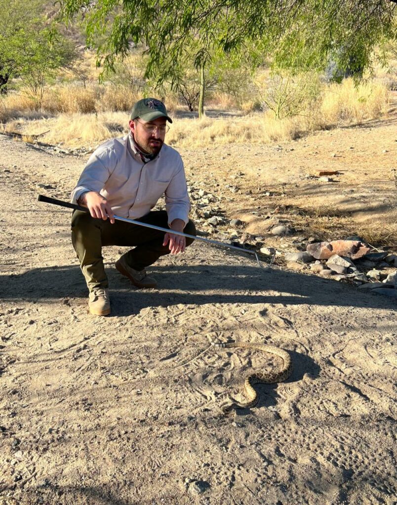 El biólogo Jorge Jiménez Canale con una serpiente de cascabel. Estas especies presentan un gran camuflaje con su ambiente, por lo que se ha reportado un gran número de mordeduras a personas que llegan a pisarlas al no darse cuenta de que se encuentran ahí. Foto: Cortesía Jorge Jiménez Canale