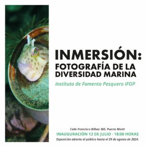 Exposición "Inmersión: Fotografía de la biodiversidad marina" - Balmaceda Arte Joven