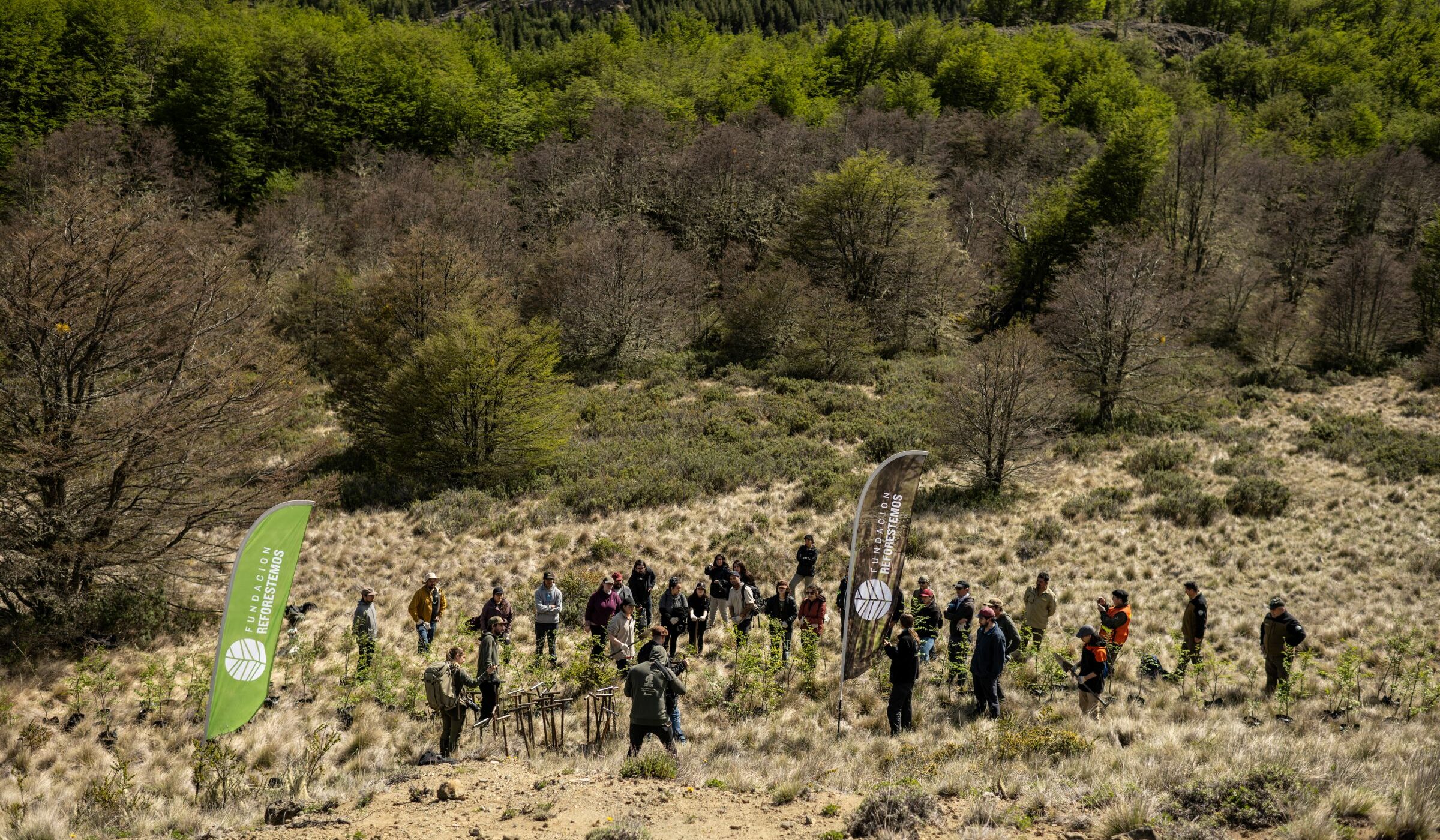 Fundación Reforestemos lanza convocatoria para su icónico voluntariado ciudadano en la Patagonia