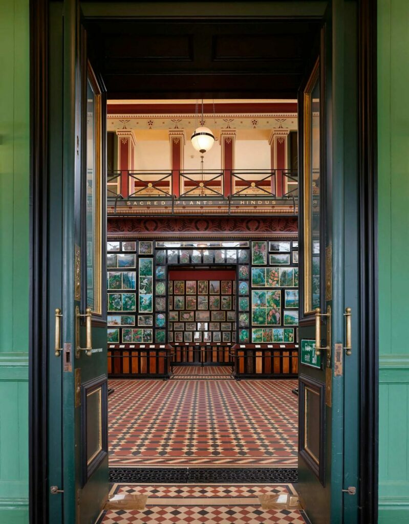 Galería de Marianne North. Créditos: Real Jardín Botánico de Kew.