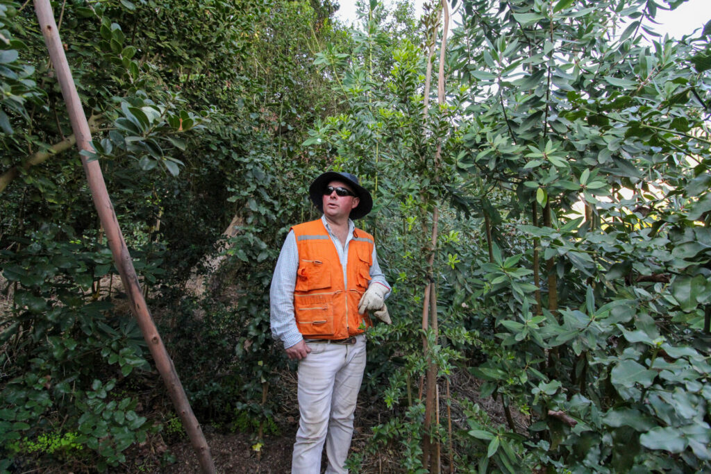 Marcelo Fernández en Campo Los Maquis. Créditos: ©Tamara Núñez