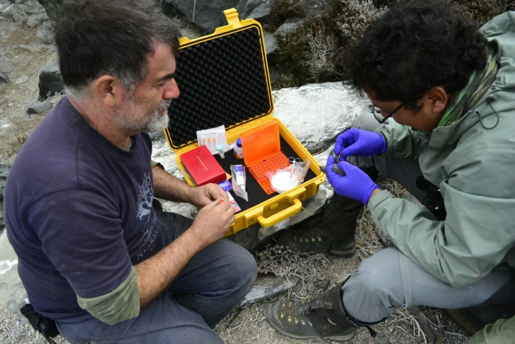 Investigadores tardaron seis años en este trabajo. Foto: Heraldo Norambuena vía X