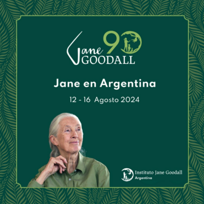 ¡Conoce las fechas de los encuentros! Jane Goodall visitará Chile ...