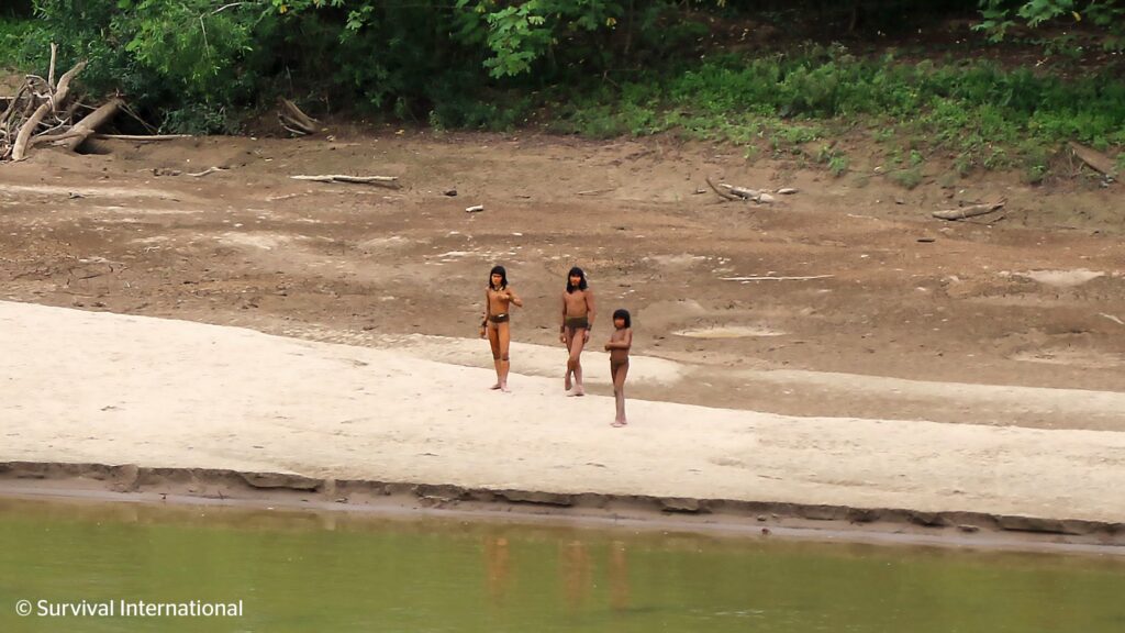 Los encuentros que han tenido con personas exteriores han concluido en violencia. Foto: Survival International