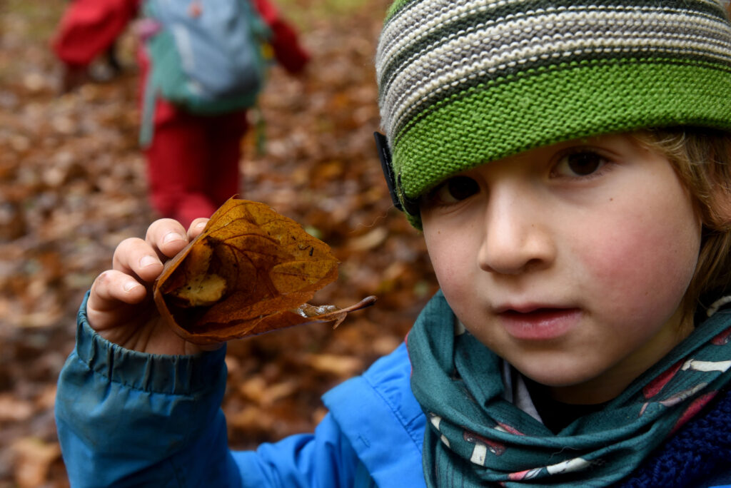 Alumno del Colegio del Bosque de Valdivia aprendiendo sobre fauna, flora y funga.