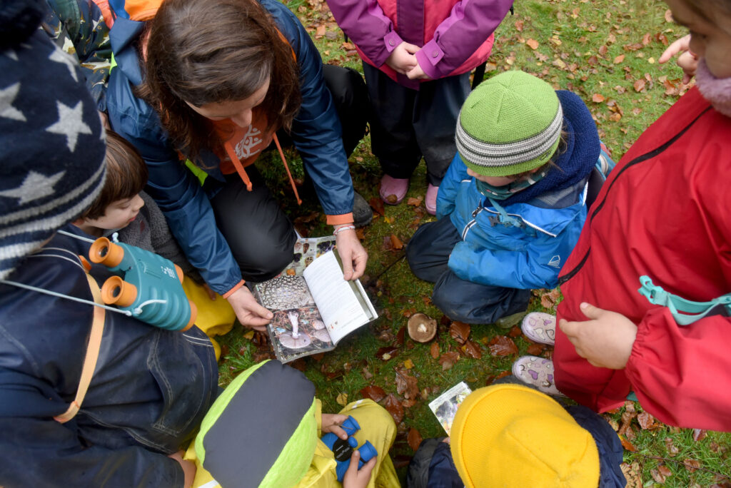 Los niños de la Radio Bosque Valdiviano aprenden sobre Funga en el bosque.