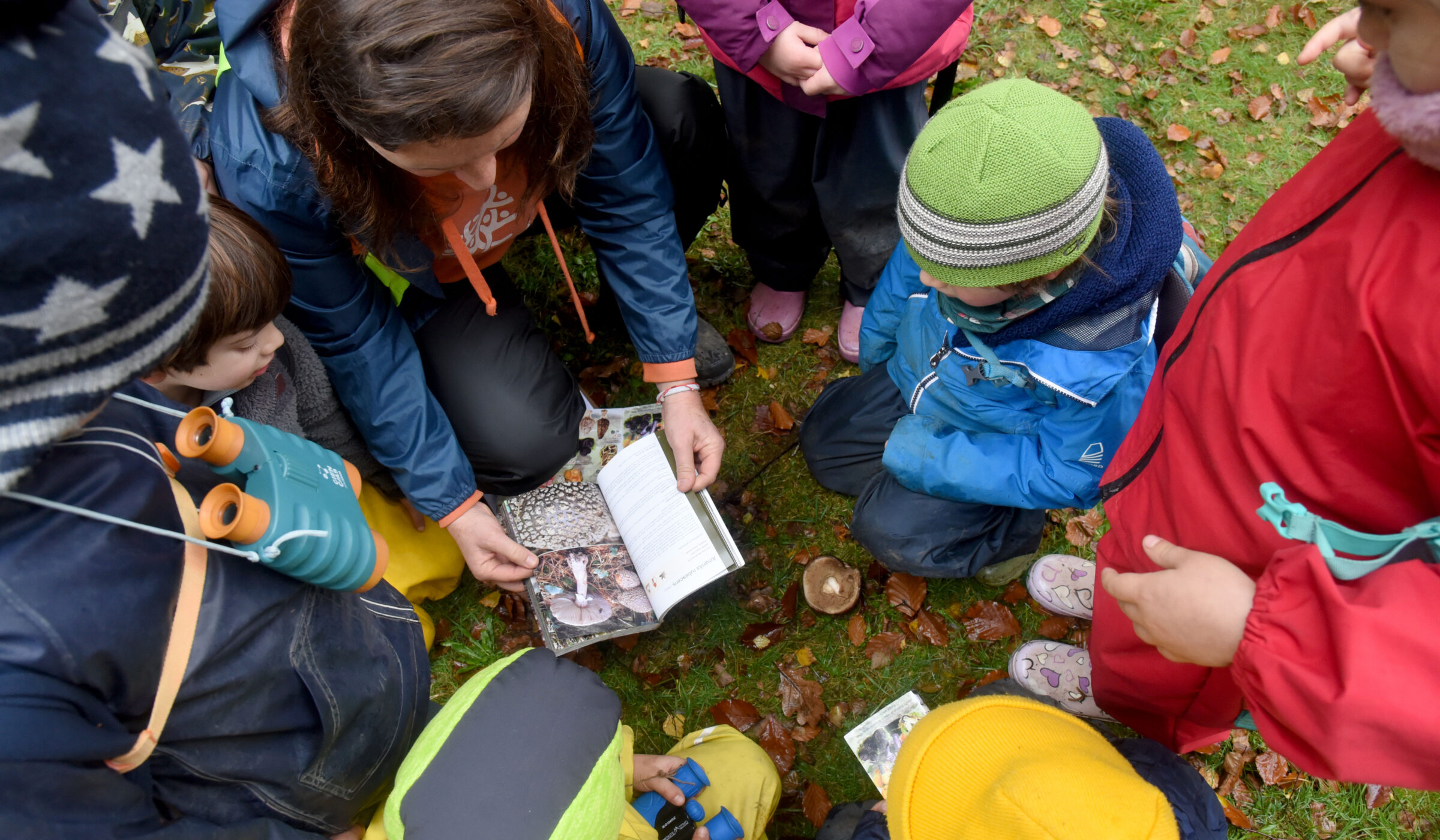 Con un capítulo dedicado a los hongos, niños en Valdivia crean podcast para conversar sobre naturaleza