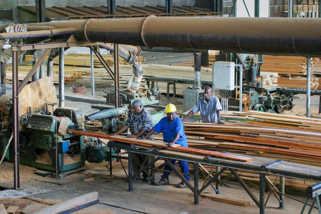 Empleados de una fábrica maderera en Paramaribo, Surinam. Junto con la minería, las concesiones para la industria maderera han sido una fuente clave de conflictos con las comunidades tradicionales e indígenas del país (Imagen: Ron Giling / Alamy).