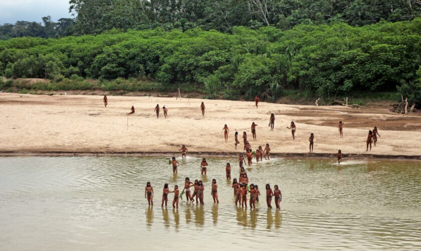 Una de las tribus más aisladas del mundo: divisan a indígenas amazónicos de Perú, expuestos en territorio donde operan madereras