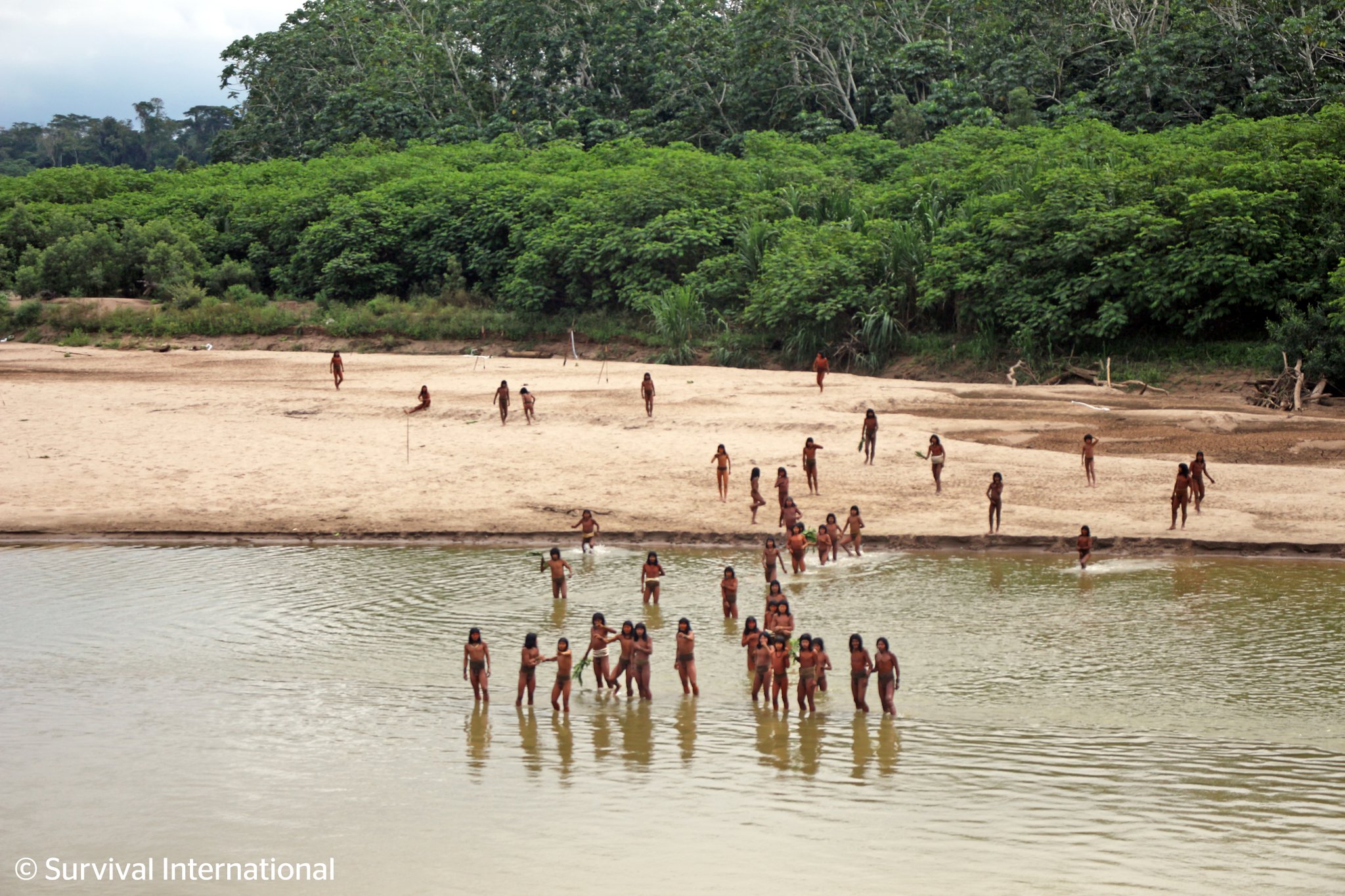 Una de las tribus más aisladas del mundo: divisan a indígenas amazónicos de Perú, expuestos en territorio donde operan madereras