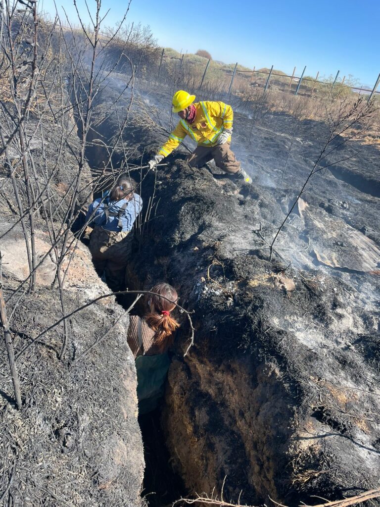 Trabajos en la zona incendiada. Créditos: - Centro de Biodiversidad y Conservación El Loa, SAG, Conaf, y el Departamento de medio ambiente de la municipalidad de Calama.